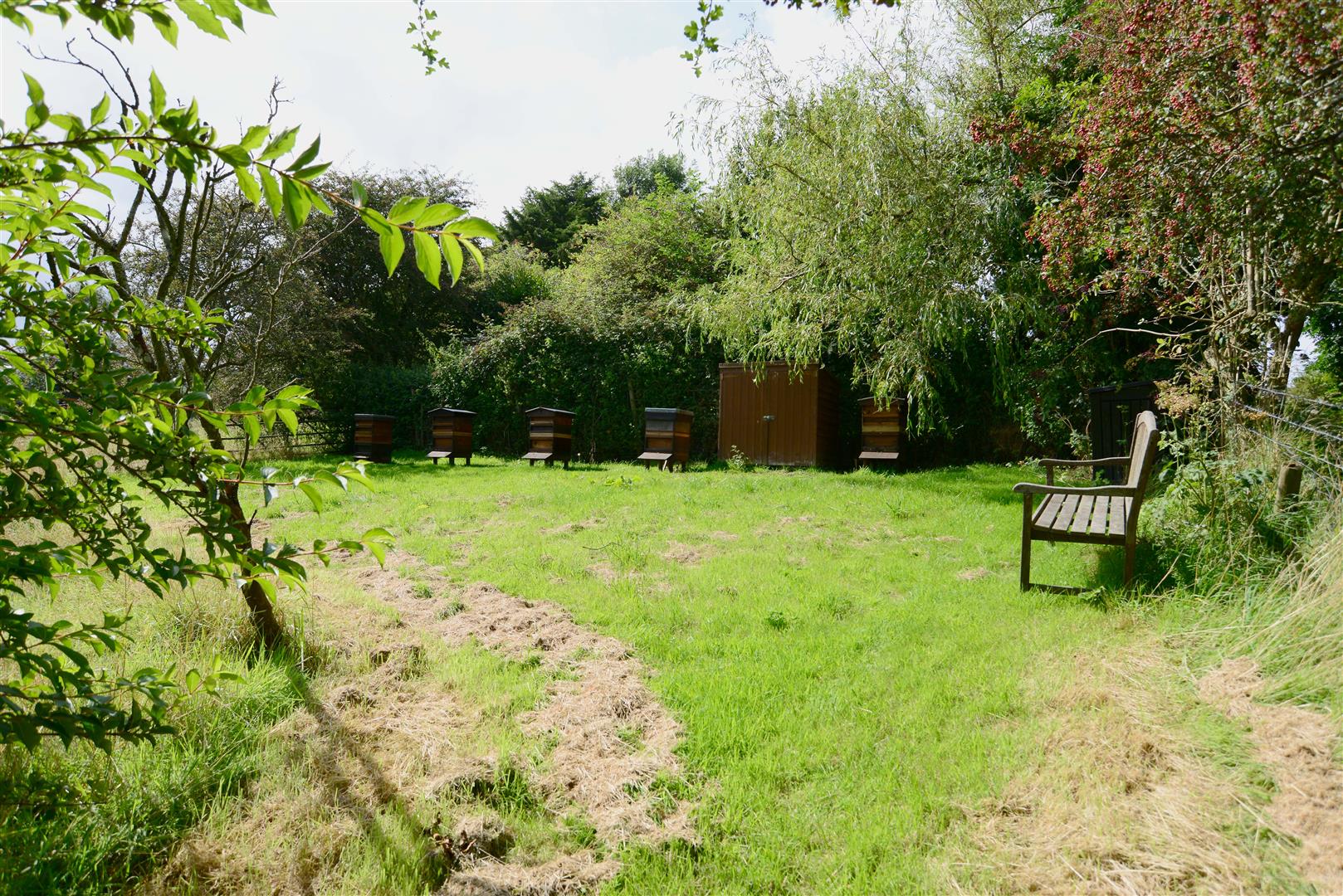 North Lane, Hampshire