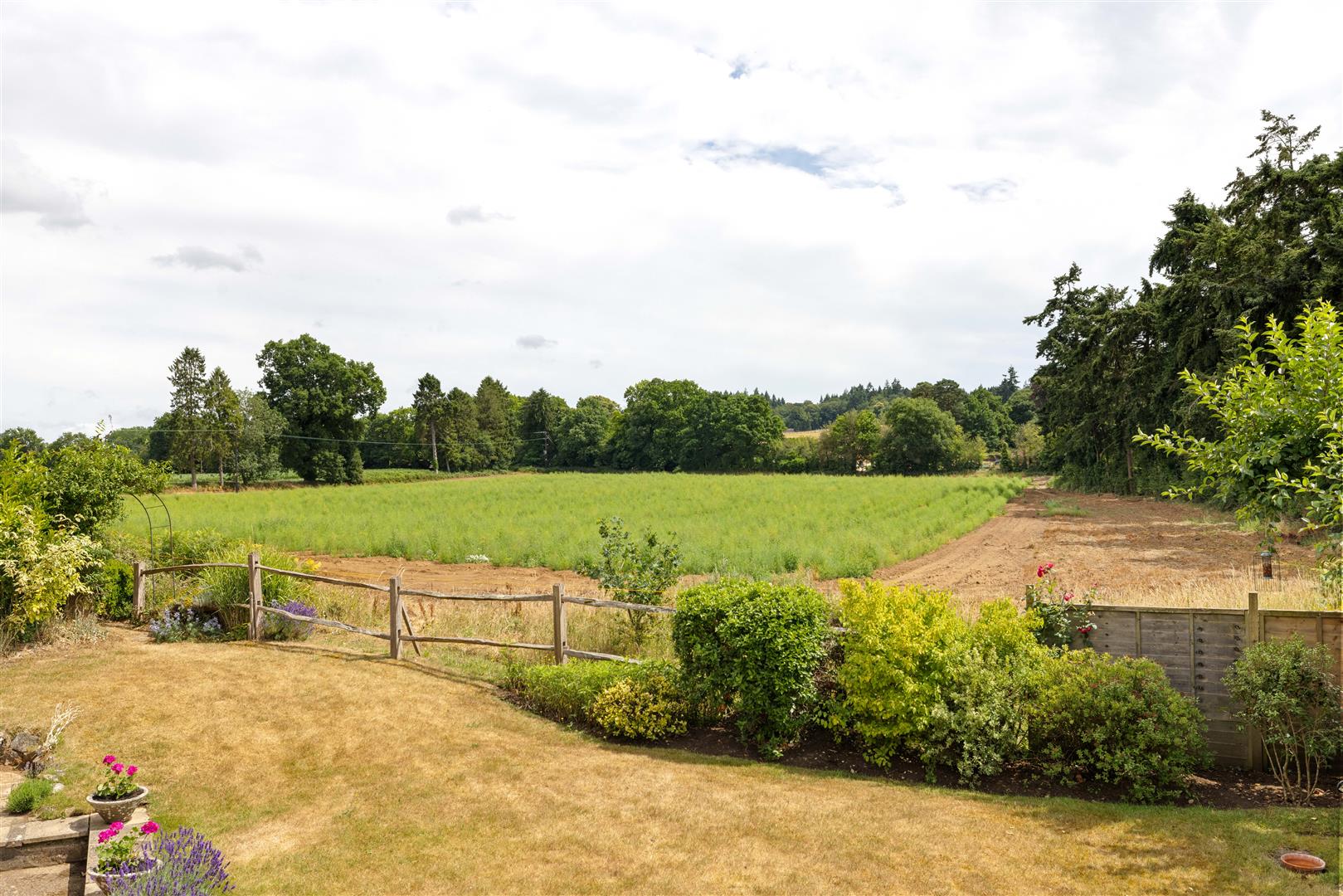 Duckmead Lane, Liss