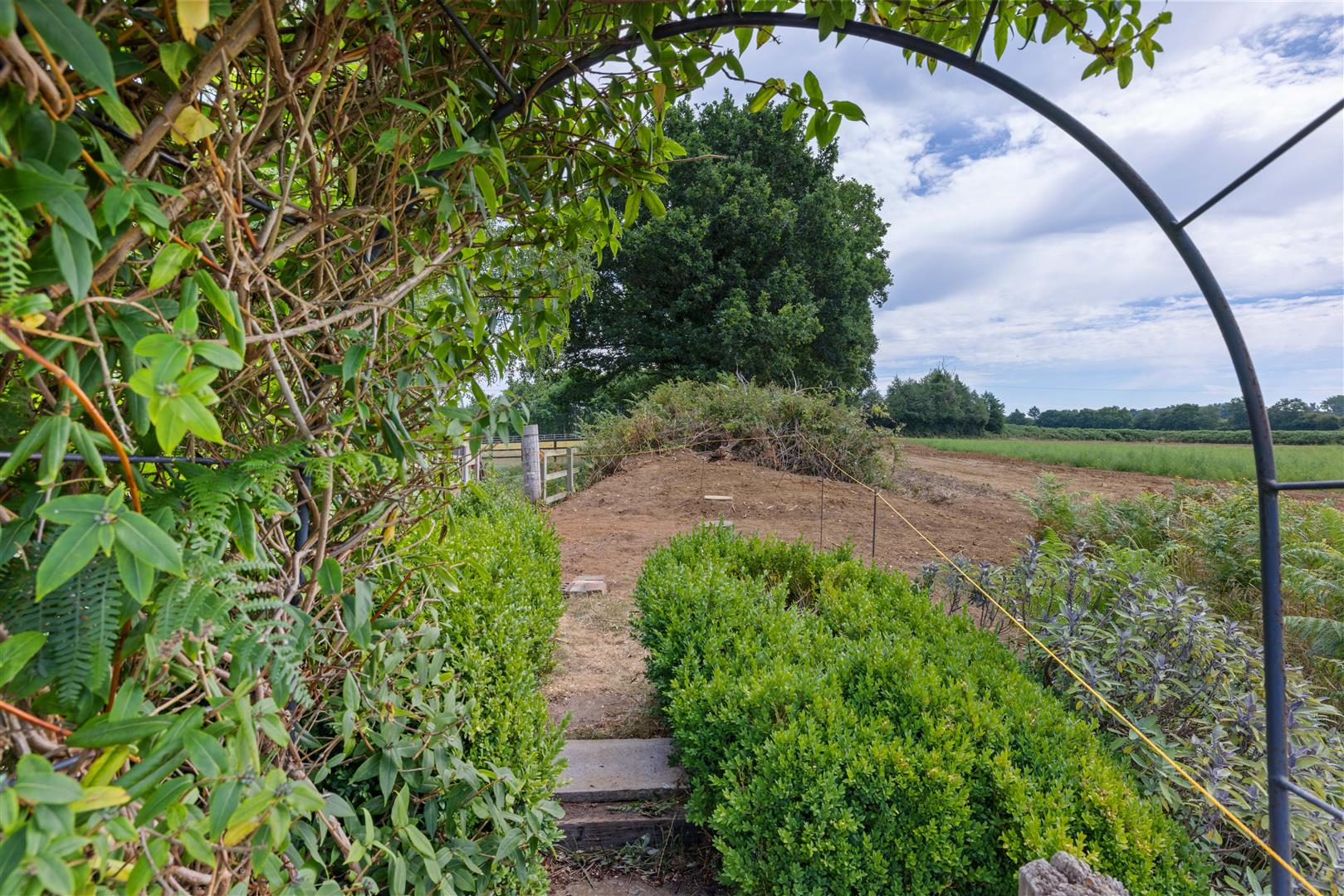 Duckmead Lane, Liss