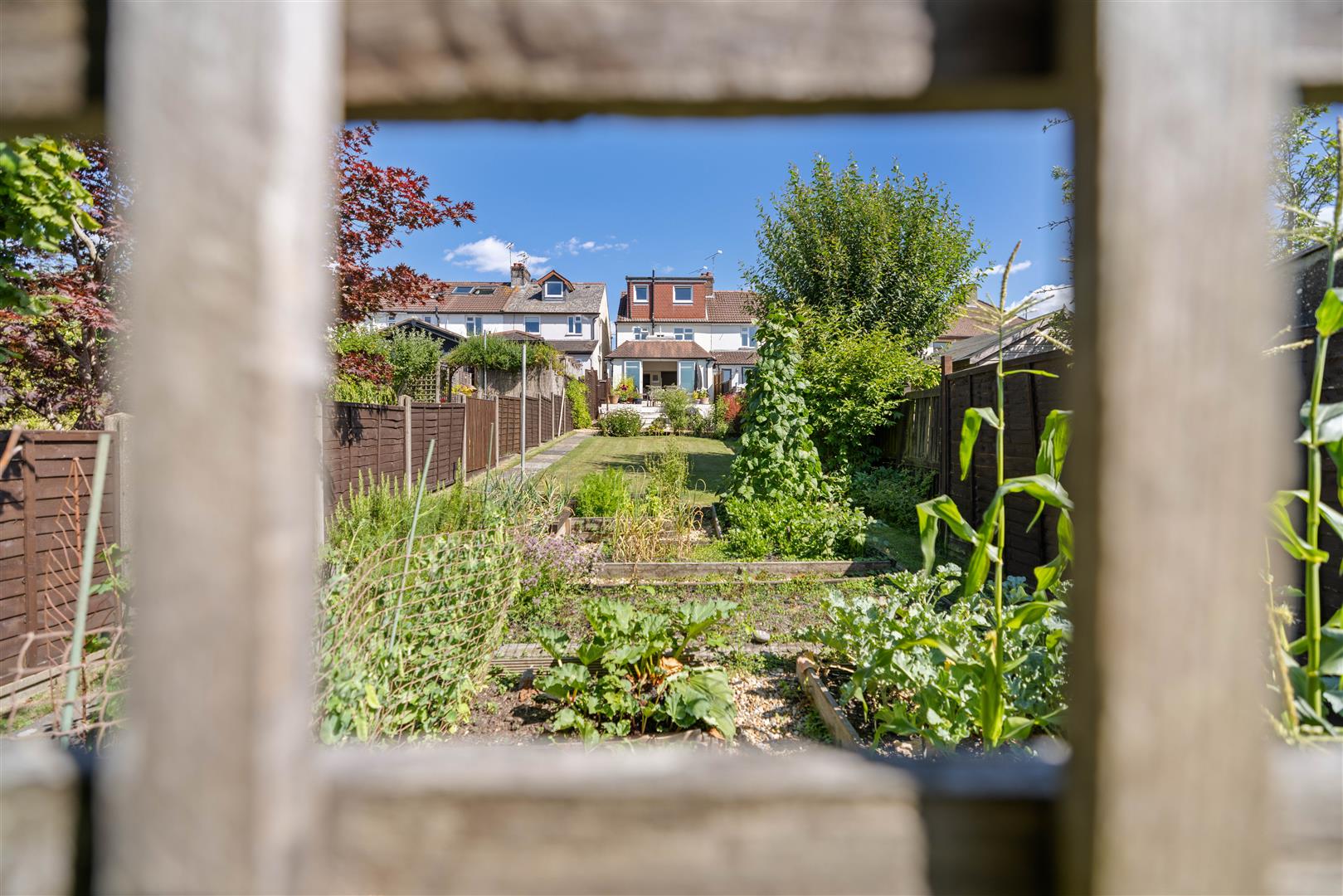 The Causeway, Petersfield