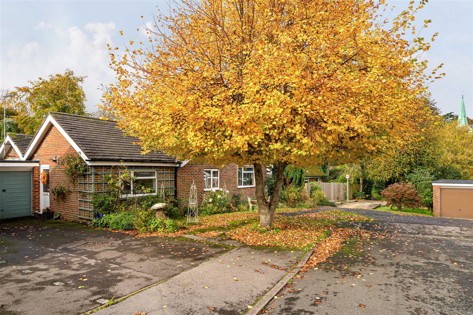 The Hop Garden, South Harting
