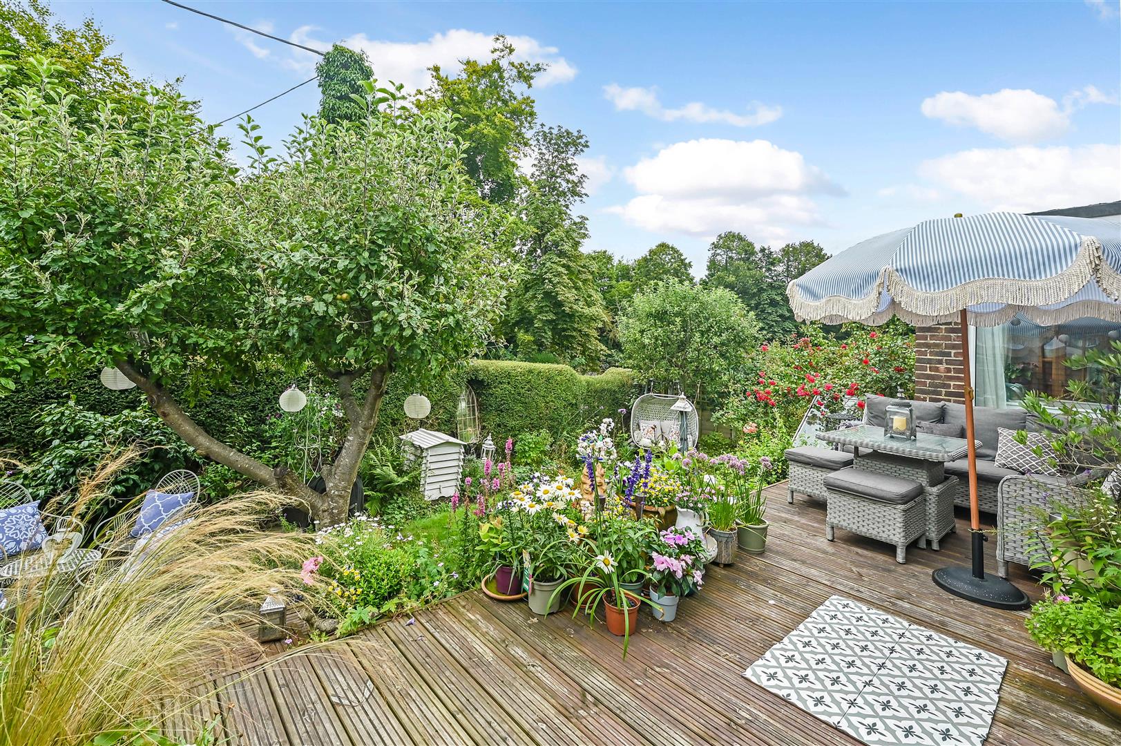 The Hop Garden, South Harting