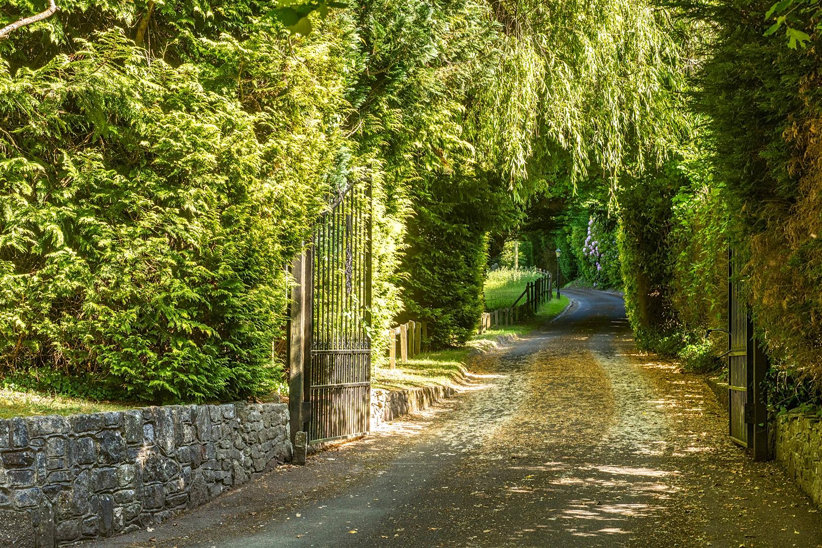 Bushy Hill, Petersfield