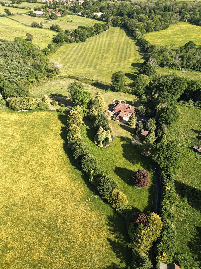 Bushy Hill, Petersfield
