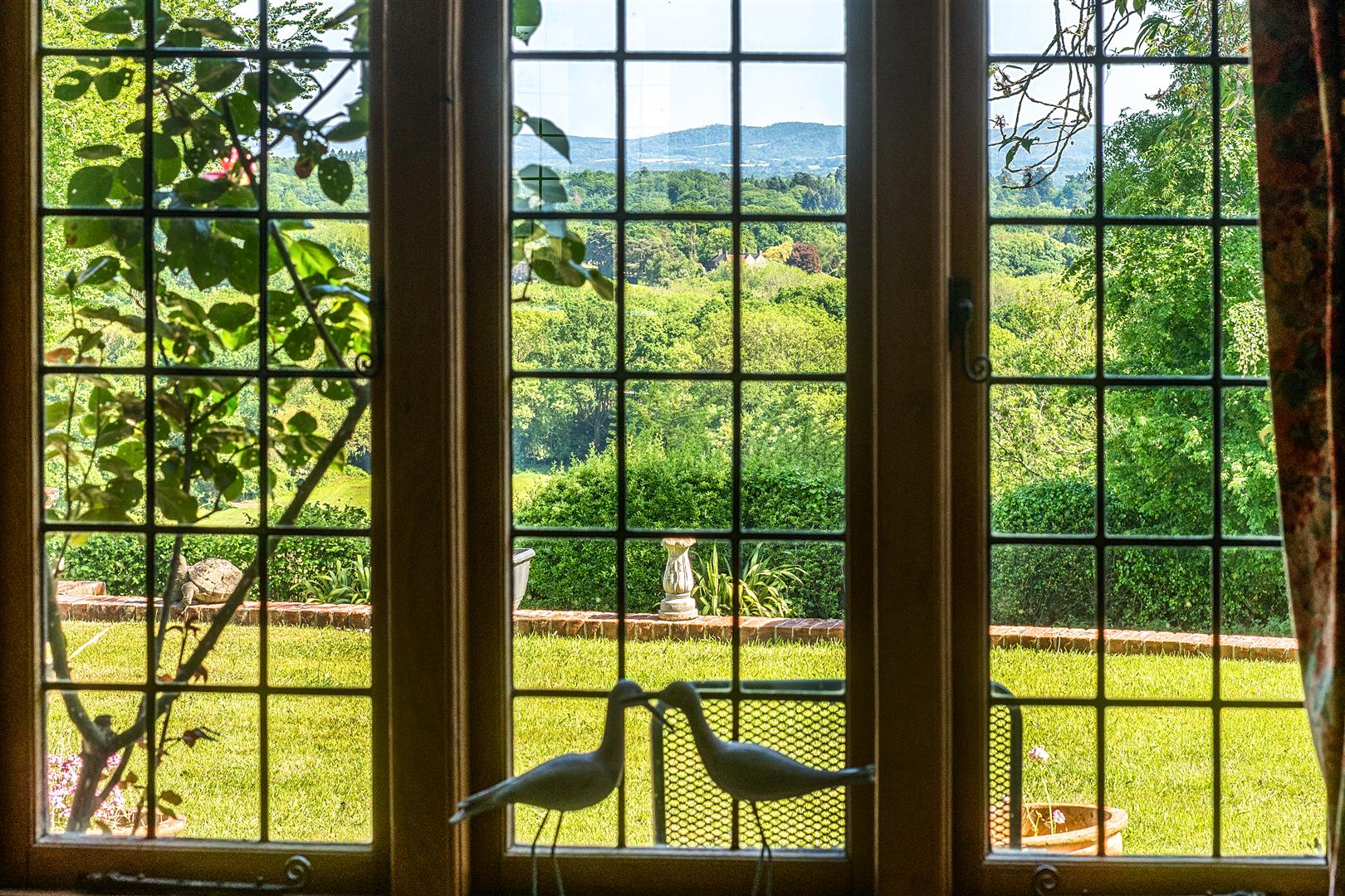 Bushy Hill, Petersfield