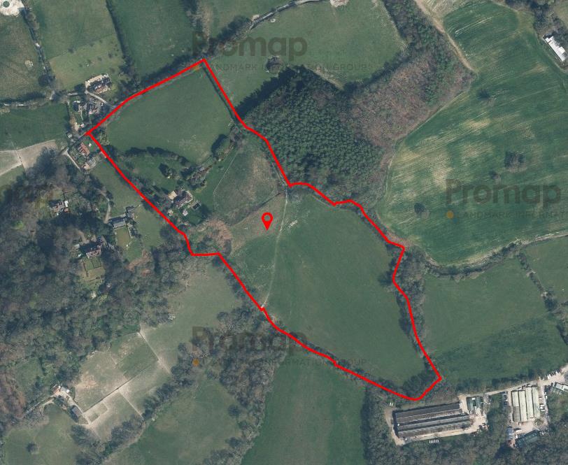 Bushy Hill, Petersfield