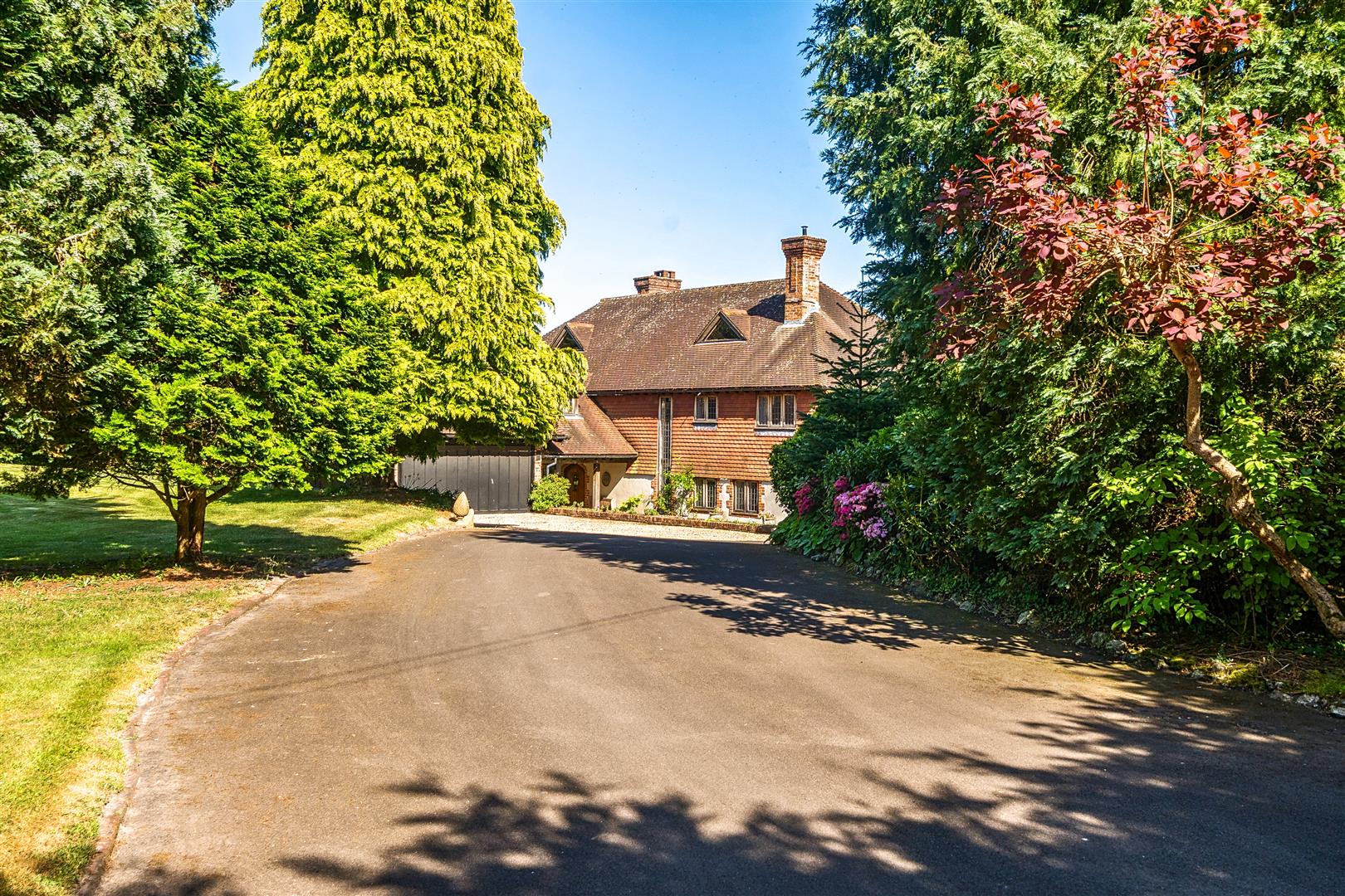 Bushy Hill, Petersfield