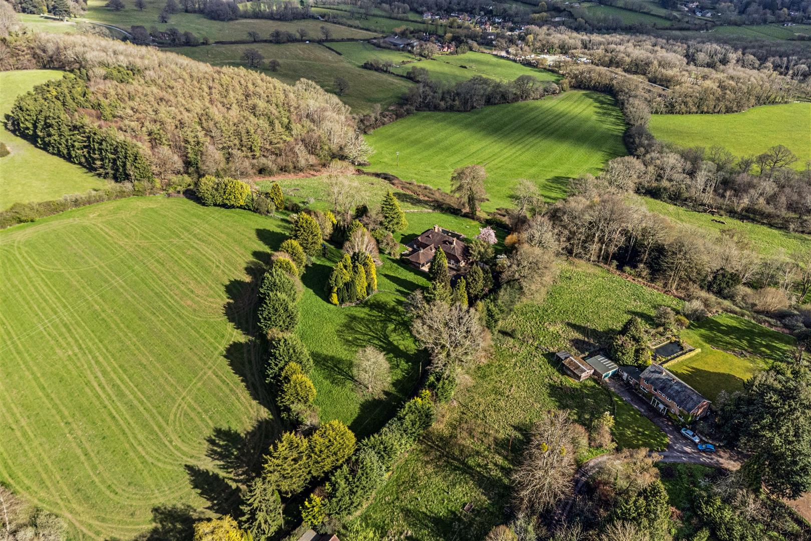 Bushy Hill, Petersfield