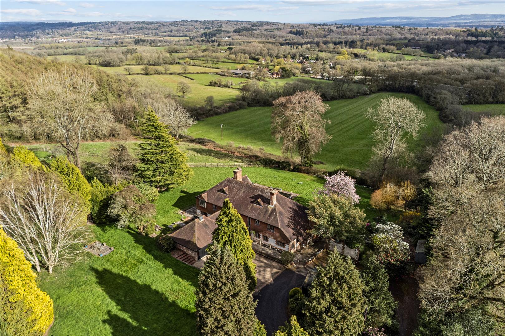Bushy Hill, Petersfield