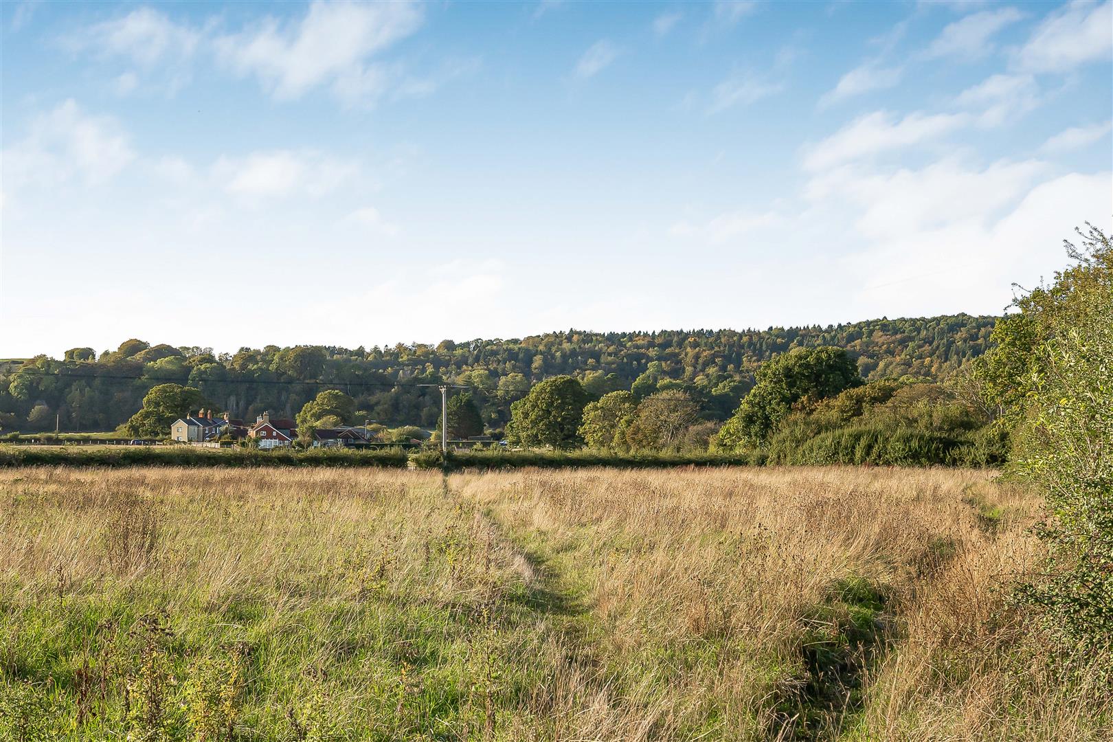 Finchmead Lane, Petersfield